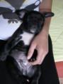 /album/fotogaleria/img-0653-2-jpg/